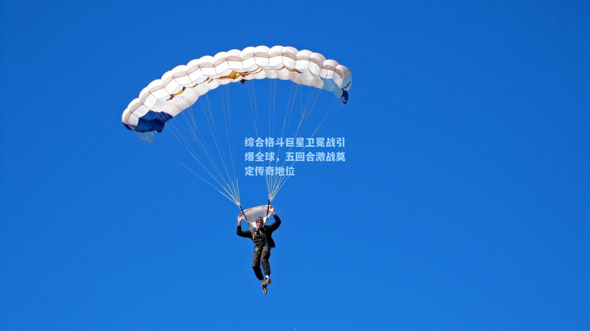 综合格斗巨星卫冕战引爆全球，五回合激战奠定传奇地位
